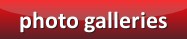 Click here to go to the galleries  Click here to go to the galleries